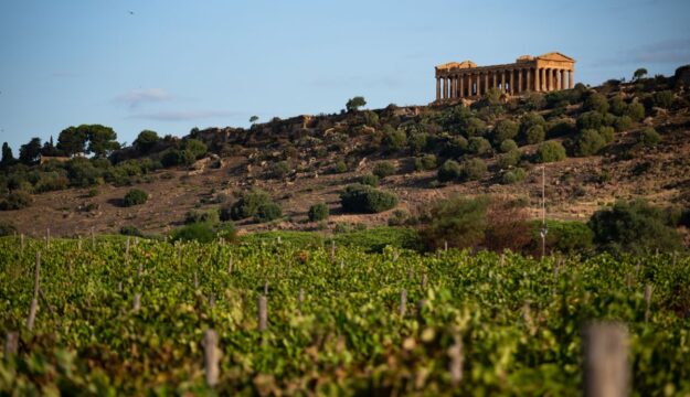 L&rsquo;enoturista che arriva in Sicilia? Straniero, sui 50 anni, non per forza esperto di vino ma curioso