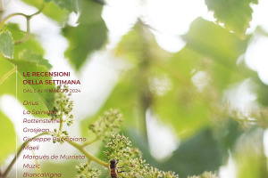 I Vini di WineNews - N. 309