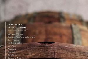 I Vini di WineNews - N. 310