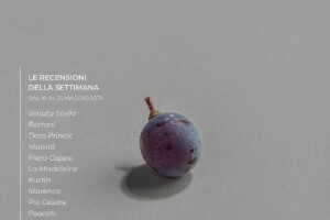 I Vini di WineNews - N. 311