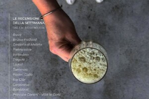 I Vini di WineNews - N. 313