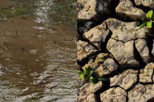 L&rsquo;Italia &egrave; divisa: il Nord soffre il maltempo tra allagamenti e straripamenti, ma il Sud &egrave; siccitoso