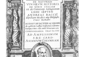 500 anni dalla nascita di Andrea Bacci, autore della prima guida del vino italiano della storia