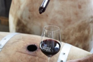 Sotto la Madonnina si vinifica l’uva di 10 viticoltori italiani: l’idea di “Cantina Urbana” a Milano