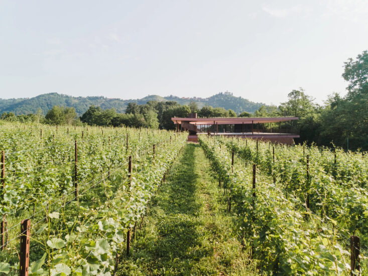 La “cantina d’autore” Ceresé a Montevecchia  