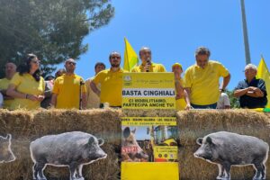 Coldiretti, via alla mobilitazione &ldquo;contro l&rsquo;invasione di cinghiali&rdquo;: proteste a Milano e Cosenza