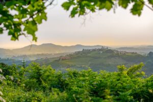 “Collio Evolution: il futuro inizia dal presente”, lo show case di uno dei grandi territori d’Italia “Collio Evolution: il futuro inizia dal presente”, lo show case di uno dei grandi territori d’Italia