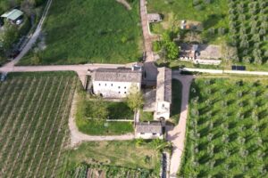 A San Masseo, a due passi da Assisi, i monaci di Bose producono Grechetto e accolgono i pellegrini  