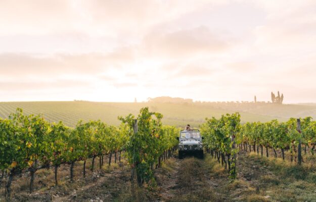 AGRITURISMO, Coldiretti, FUNGHI, SETTEMBRE, VACANZE, VENDEMMIA, Non Solo Vino
