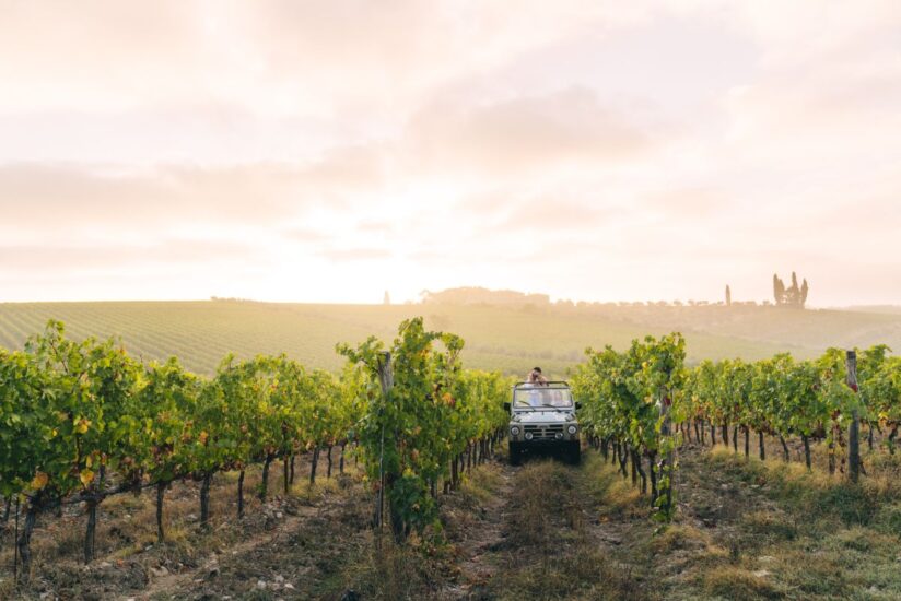 “Wine Safari” tra i vigneti del Chianti Classico da Vallepicciola 