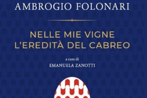 Tra finanza e vino, da Banca San Paolo al Cabreo, la storia dei Folonari nelle vicende italiane