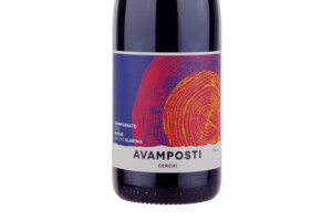 Il Cascinone, Doc Monferrato Rosso Avamposti Cerchi 2021