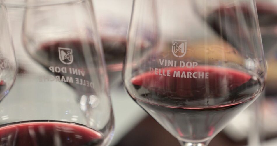 Rosso Conero, il grande rosso delle Marche