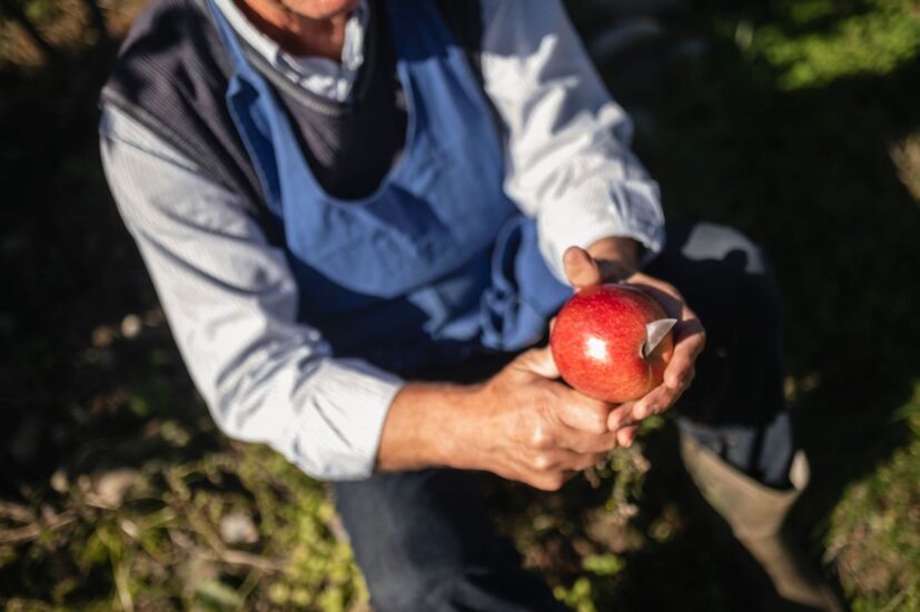 A Tirolo, in Alto Adige, visite guidate nei meleti con degustazione (ph: Patrick Schwienbacher)