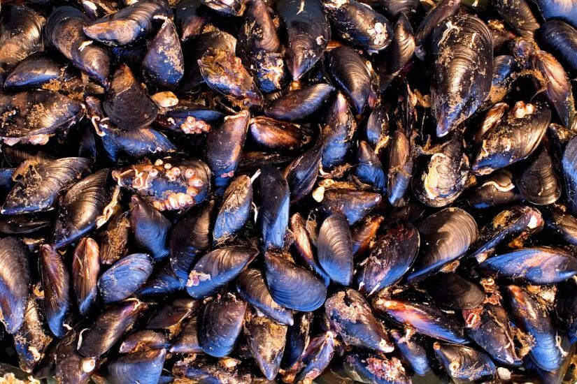 Credit: Andrea Montanaro