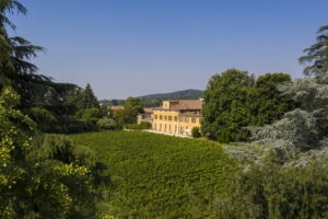 Raccontare il vino con il cinema: una strada sempre più battuta. Ecco “Mosnel di Franciacorta”