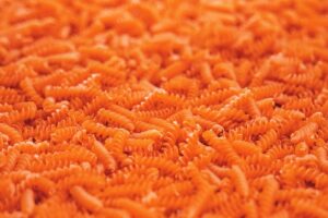 Dai legumi al teff, dal grano saraceno al riso, tutto pu&ograve; diventare pasta