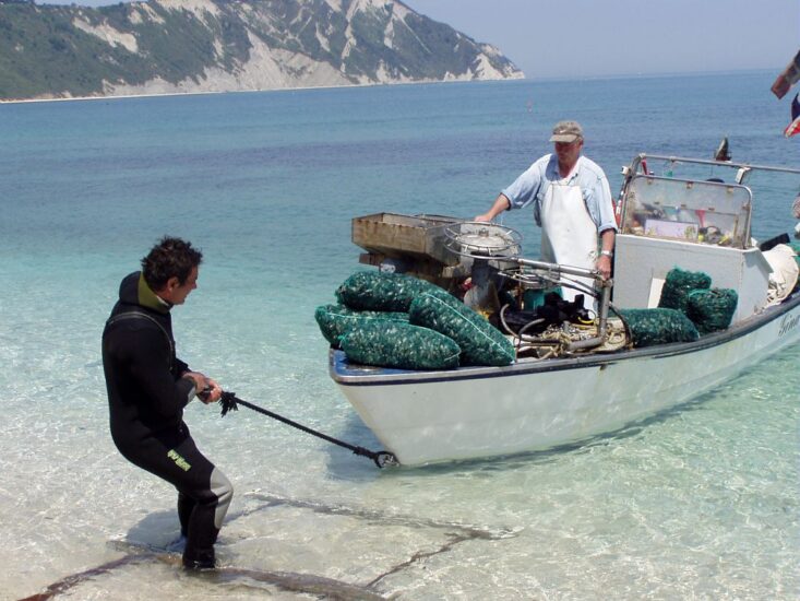 Credit: Franco Frezzotti