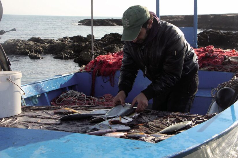 Credit: Marco Marangoni 