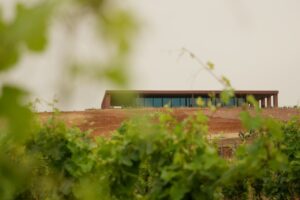 Sempre più mercanti, e produttori: la famiglia Veronesi (Signorvino) mette radici in Sardegna