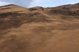 Siccità al Sud, grandinate al Centro Nord: il maltempo piega l’agricoltura italiana