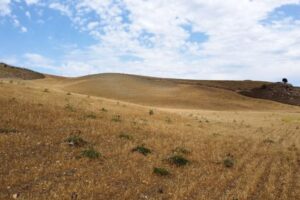 (Non) c’è acqua in Sicilia
