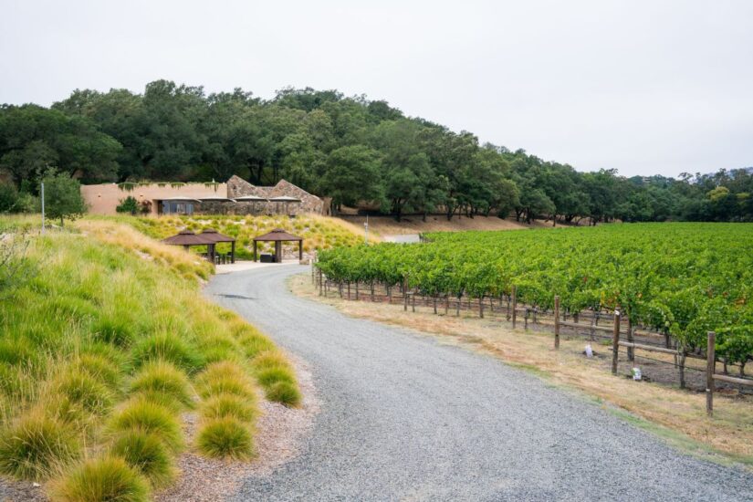 Stag’s Leap Wine Cellars, in Napa Valley 