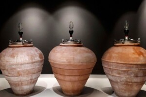 Dalla “Notte delle Cantine” in Alto Adige all’“Amphora Revolution” a Verona, alla “Festa a Vico”