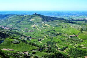 Valpolicella e zonazione: si punta su sottozone legate alle vallate, e non sulle Uga