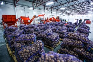 La rete dei mercati all&rsquo;ingrosso in Italia &egrave; pi&ugrave; grande, ma fa meno affari dei partner europei