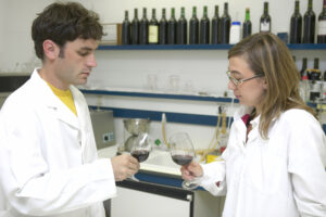 Vino, dopo un 2023 complesso, lievi segnali di ripresa nel 2024, e imbottigliamenti in crescita