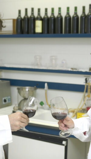 Nasce il &ldquo;Polo vitivinicolo del Triveneto&rdquo;, che unisce enti di controllo, Consorzi e istituzioni