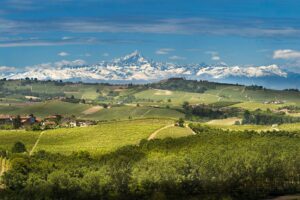 I produttori delle Langhe: “il nostro impegno è mantenere queste colline più belle possibile” I produttori delle Langhe: “il nostro impegno è mantenere queste colline più belle possibile”
