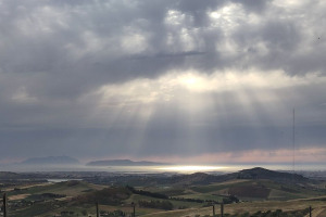 I Quaderni di WineNews - La Sicilia