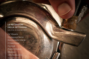 I Vini di WineNews - N. 314