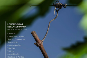 I Vini di WineNews - N. 315