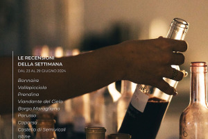 I Vini di WineNews - N. 316