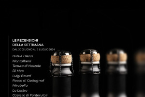 I Vini di WineNews - N. 317