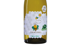 Bio Cantina Orsogna, Terre di Chieti Igp Cococciola Vola Volè Bee 2023