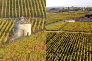 Vino, questione di prezzi: a Bordeaux i valori scendono ancora, in Borgogna si pianifica il futuro