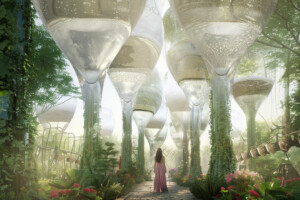 “Melodie e bolle” da Bosca, nei 10 anni di Unesco dei Paesaggi Vitivinicoli del Piemonte