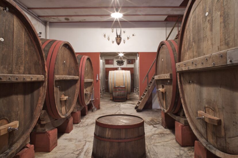 I vigneti di Villabucci