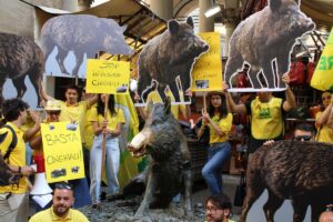 Animali selvatici fuori controllo, 20.000 agricoltori protestano in tutta Italia