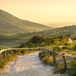 I Colli Euganei sono Riserva Mondiale della Biodiversità Unesco (e il merito è anche del vino)