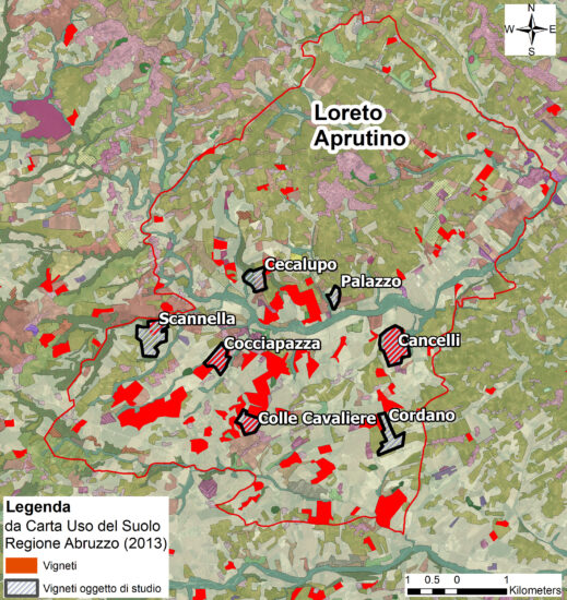 La Rete di Imprese “Custodes Laureti” presenta “Le contrade del vino di Loreto Aprutino”