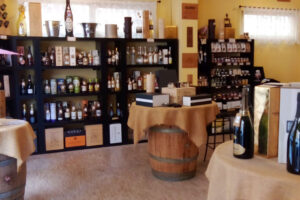 Enoteca Dorica - Ancona