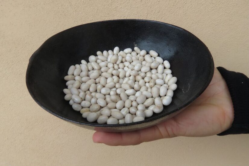 Fagiolo di Orvieto Presidio Slow Food (ph: Valerie Ganio Vecchiolino)