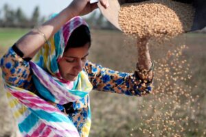 Nel mondo 1 persona su 11 (733 milioni nel 2023) soffre la fame, 1 su 5 in Africa