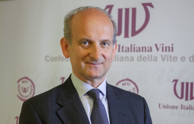 ESTIRPAZIONE VIGNETI, GRUPPO DI ALTO LIVELLO, LAMBERTO FRESCOBALDI, MINISTERO DELL'AGRICOLTURA, OCM VINO PROMOZIONE, RESE, UIV, UNIONE EUROPEA, UNIONE ITALIANA VINI, Italia