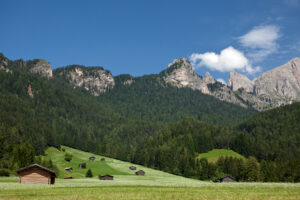Tutelare e valorizzare il paesaggio partendo dal suo valore culturale: la sfida di Slow Food e Pris